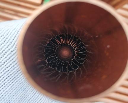 立式列管冷凝器